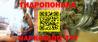 jwh Нальчик